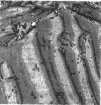 久久夜色AV中鐵磁性材料磁粉成像
