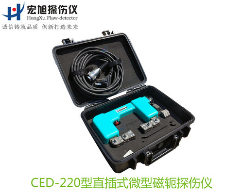 CED220型直插式微型磁軛夜色资源网站